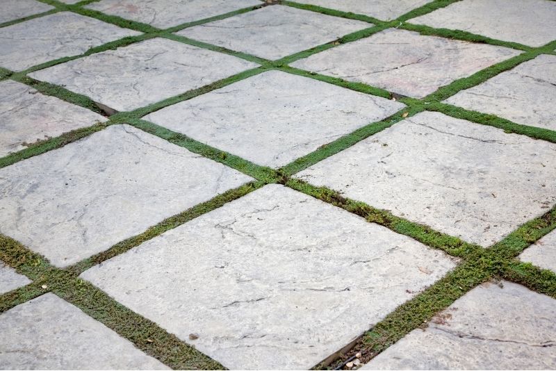 square-shaped concrete paver fixe on the ground