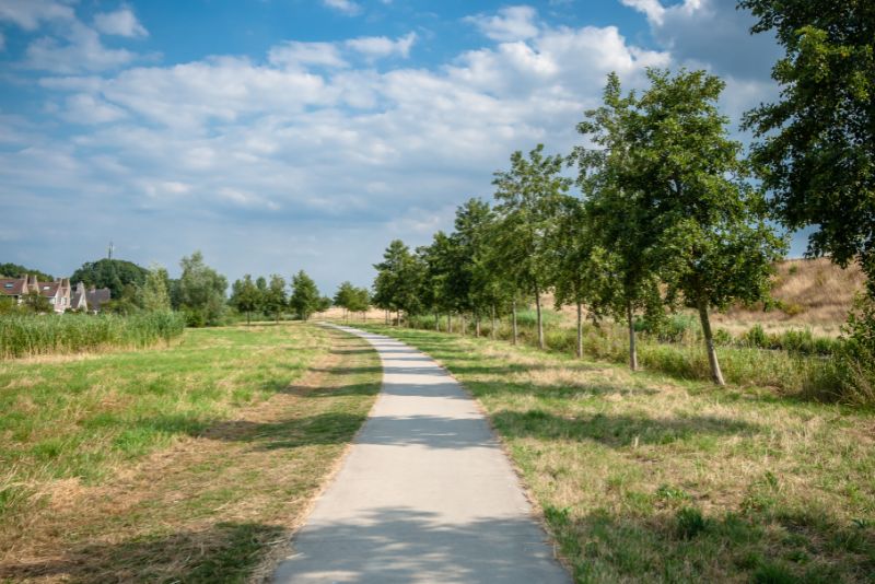 pathway concrete